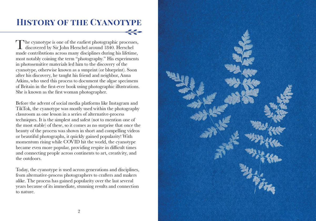 3-Color Botanical Cyanotype Kit: Beginner-Friendly DIY Kit