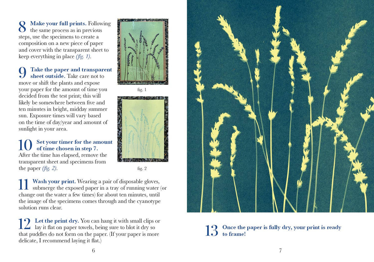 3-Color Botanical Cyanotype Kit: Beginner-Friendly DIY Kit